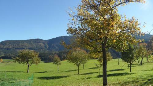 Apartamento Biobauernhof Obereck