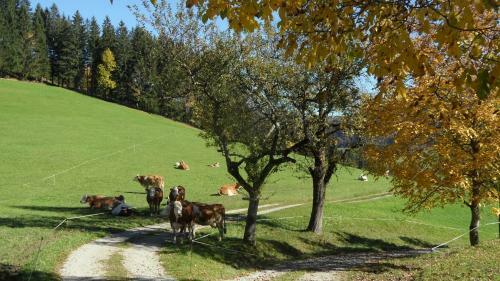 Apartamento Biobauernhof Obereck