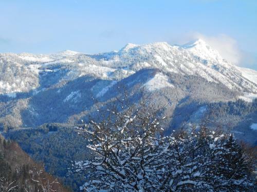 Agroturismo Urlaub Am Bauernhof Blamauer K�hr
