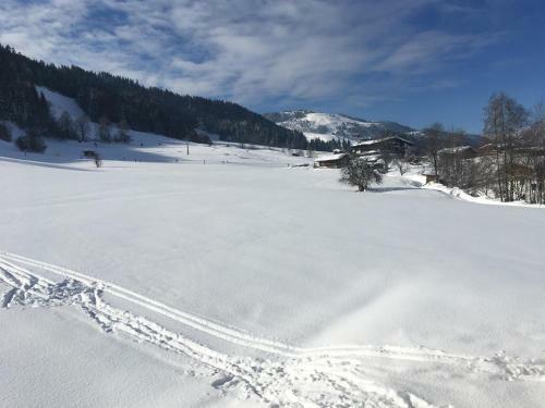 Apartamento Appartement Ruhstatt