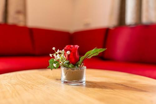 Hostal Appartement Pension Auhof