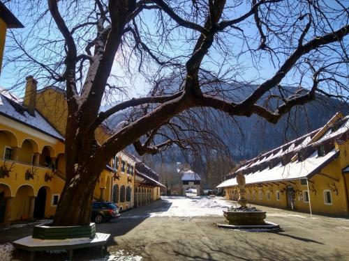 Apartamento G�stewohnung Schlossblick
