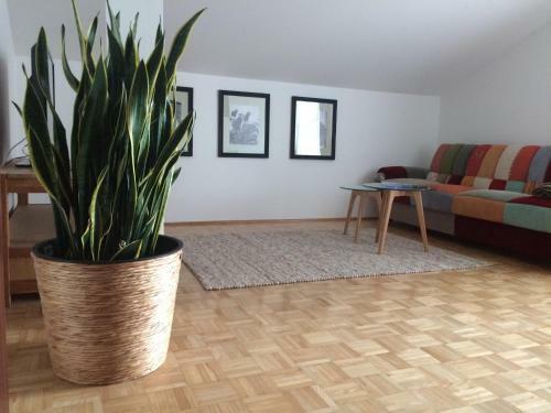 Apartamento Alpin Chic