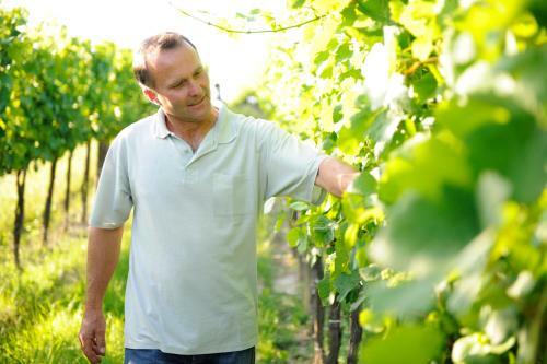 Bed & Breakfast Weingut Familie Schuster