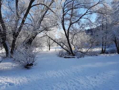 Apartamento Gr�ne Wiese - G�ste-minibungalow In Der Ederm�hle