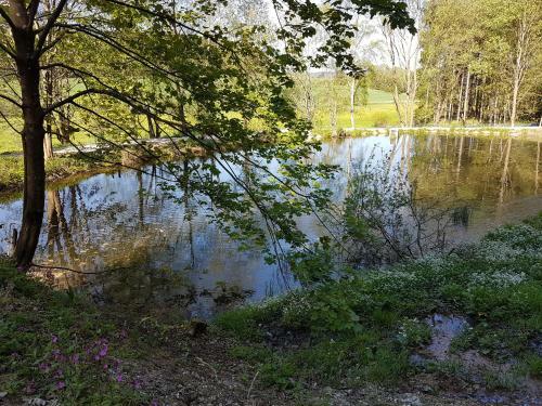 Apartamento Gr�ne Wiese - G�ste-minibungalow In Der Ederm�hle