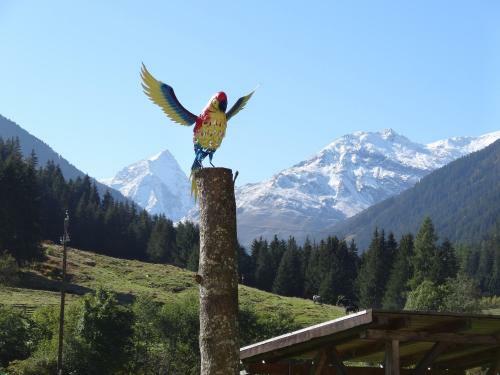 Apartamento Ferienwohnung Bergblick