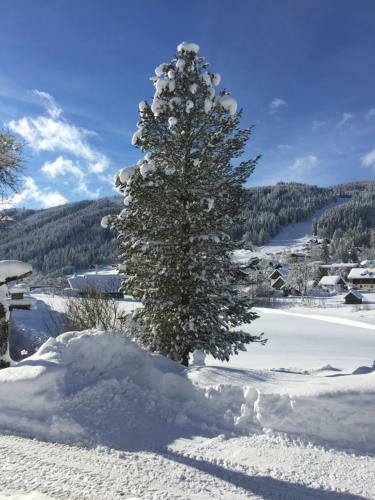 Apartamento Schmiedsipplhof