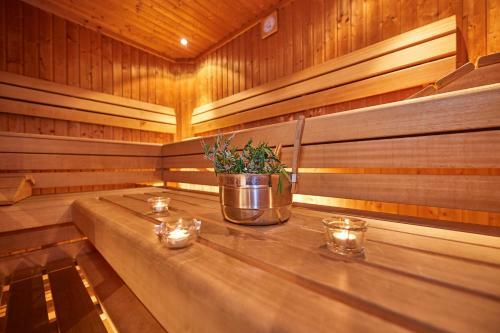 Apartamento Happy Flachau