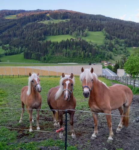 Agroturismo Schartlhof