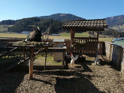 Apartamento Landhaus Fingerhof