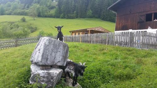 Apartamento Landhotel Hinteraigengut