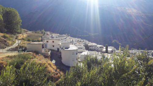La Casa De La Bombilla Verde