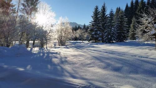 Sporthotel Gr�nau - Hotel, Restaurant Wimmergreuth