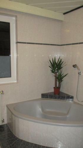 Apartamento Wohnung In Haiding/wels