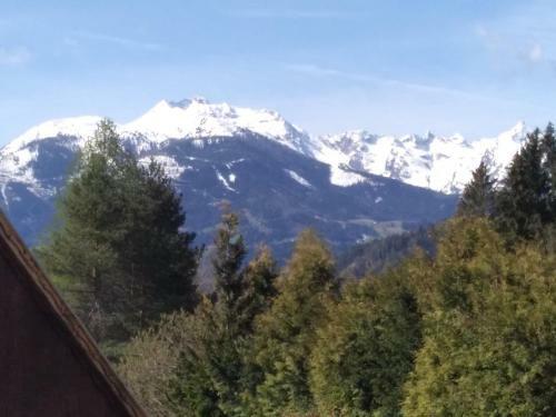 Apartamento Haus Netzl