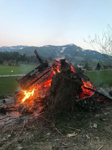 Apartamento Ferienwohnung Conny