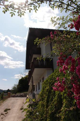 Apartamento Ferienwohnung Conny