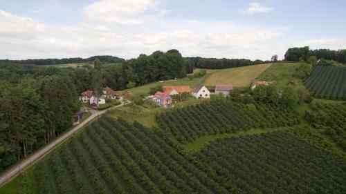 Ferienhaus Ulrichsbrunn