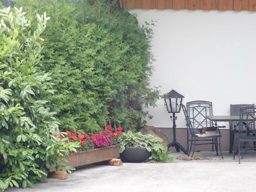 Apartamento Ferienwohnung Pusteblume