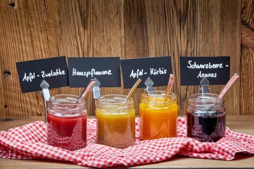 Bed & Breakfast Berglodge Grossarl
