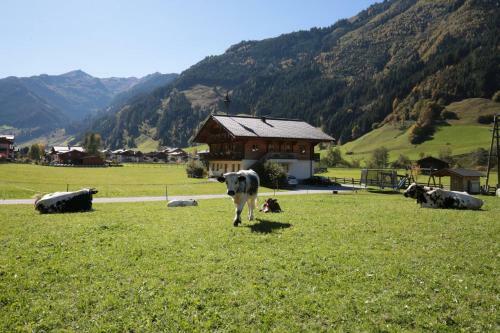 Apartamento Astlhof