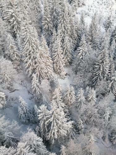 Apartamento Montepart Zillertal