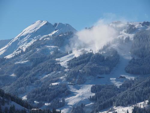 Apartamento Landhaus Dorfer