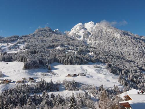 Apartamento Landhaus Dorfer