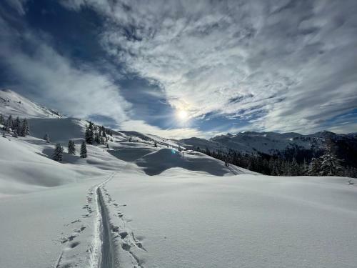 Chalet Irmi Hart Im Zillertal