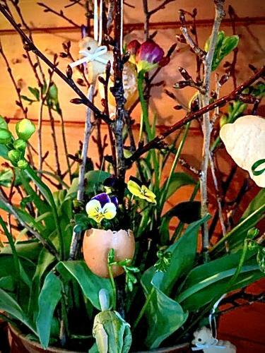 Apartamento Appartement Emilia