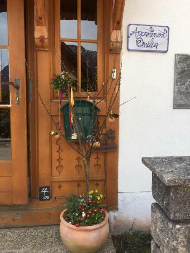 Apartamento Appartement Emilia