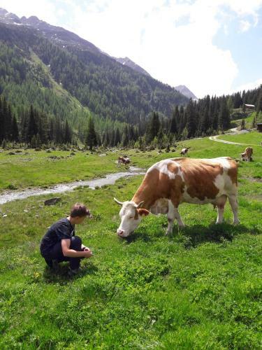 Zirbenchalet Grossglockner