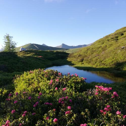 Apartment Natur Herz