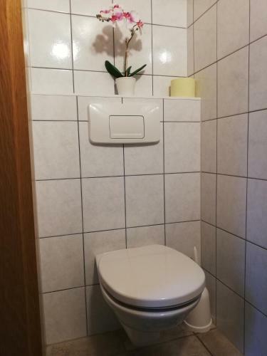 Apartment Natur Herz