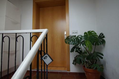 Apartamento Andreas' Dachwohnung Mit Terrasse