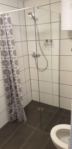 Hostal Apartmenthaus Beim Lkh Graz