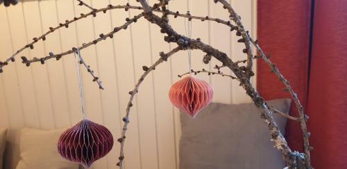Apartamento Red Flat?enchanting-beside Kf Uni?free Parking