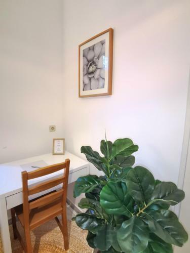 Cosy Double Bedroom With Private Bathroom Near Downtown Graz