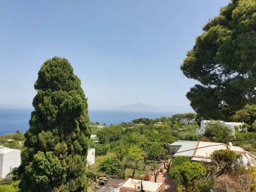 Villa Dreaming Capri