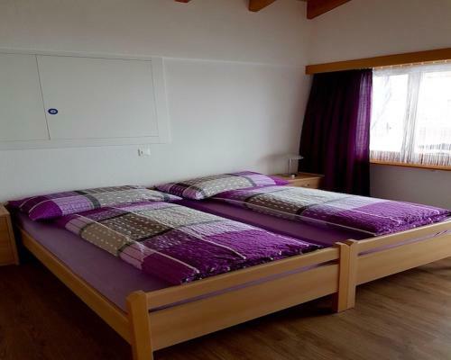 Apartamento Haus Alpen