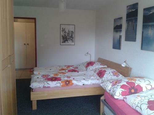 Apartamento 2,5 Pces Accueillant Comme � La Maison