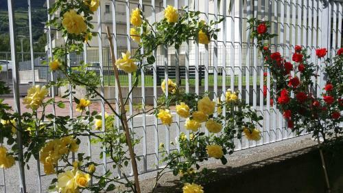 Bed & Breakfast La Casa Del Grillo 1