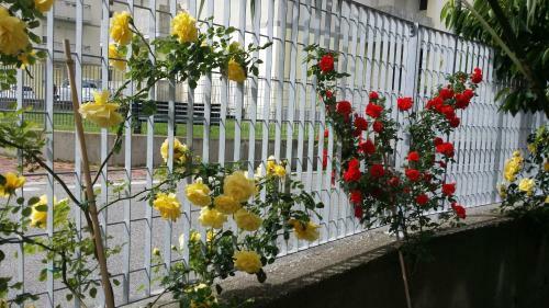 Bed & Breakfast La Casa Del Grillo 1