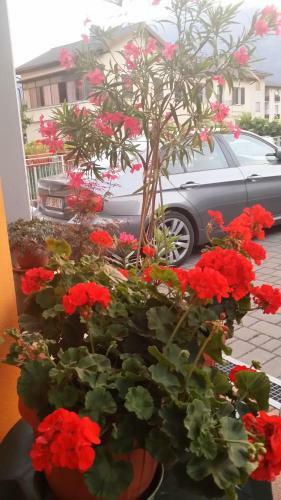 Bed & Breakfast La Casa Del Grillo 1