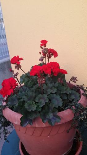 Bed & Breakfast La Casa Del Grillo 1