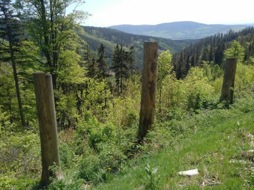 Apartm�ny Sport Doln� Morava