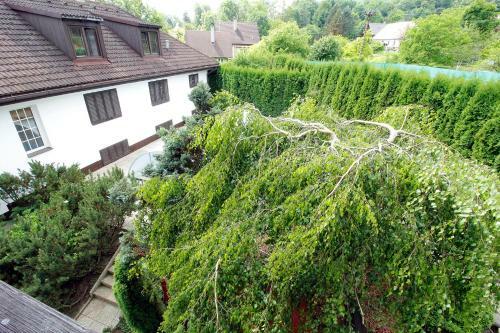 Villa Vily Jedli?�