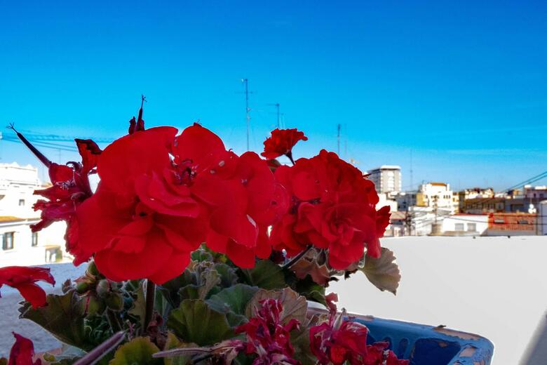 B&B Mare De Deu Canovas