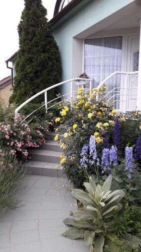 Apartm�n Ludmila